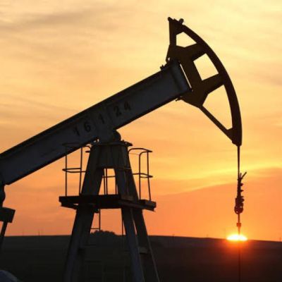 Ammonnews : Oil falls as Russia diesel supply prospects counter Gulf supply risks
