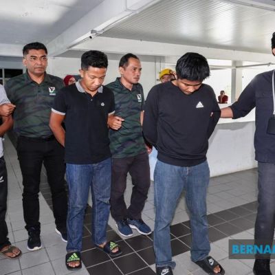 Malayan Tiger Carcass: Three Men Jailed Seven Years, Fined RM250,000