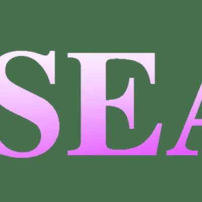 SSEA AI Reshapes Digital Asset Returns: Integrating Artificial Intelligence to Help Global Enthusiasts Efficiently Acquire XRP