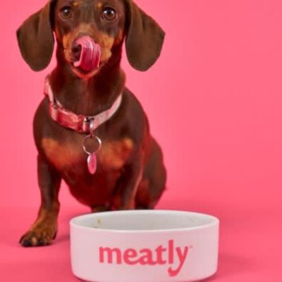 UK becomes first European country to approve lab-grown meat