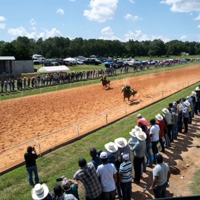 We need new strategies to protect horses