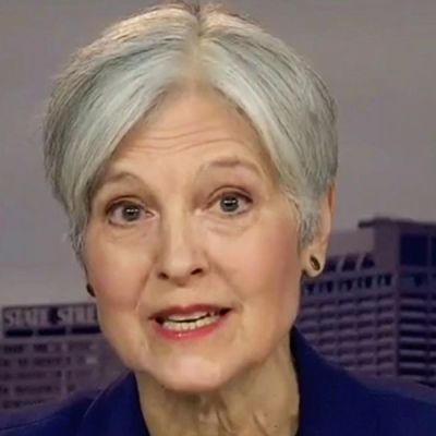 ‘There is no point’: MSNBC panel demolishes Jill Stein’s ‘spoiler’ campaign