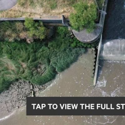 Thames Water pumped 14bn litres of sewage into Thames in central London in 2023