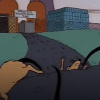 Nice Time: Four House Republicans Defy Mike Johnson To Force Obamacare Subsidy Vote