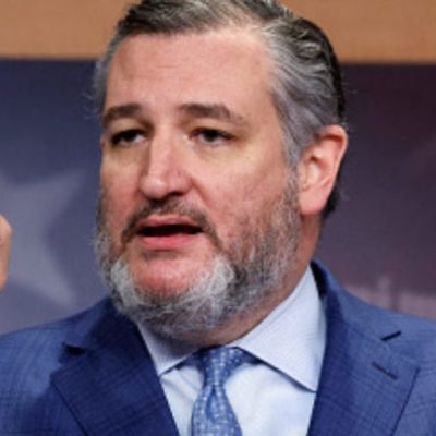 EXCLUSIVE: Cruz Campaign Accuses Political Opponent Of Violating Federal Law With Chuck Schumer, Fellow Democrats