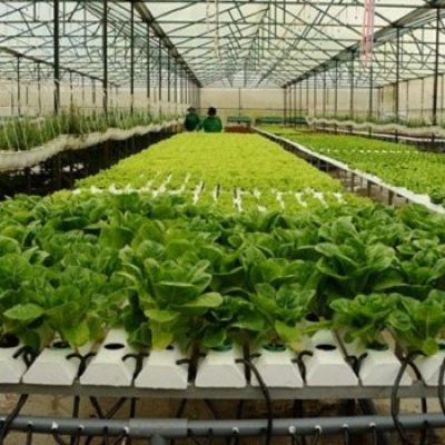 Aemetis, Inc. (NASDAQ:AMTX) Q2 2023 Earnings Call Transcript