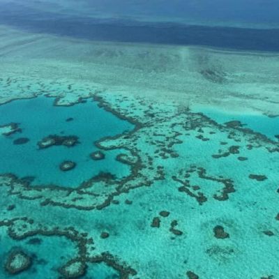 Australia welcomes draft Unesco decision to keep Great Barrier Reef off danger list