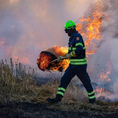 Colorado Wildfire Response Suffers a Deadly Blow After Pilot Goes Down Over Silver Jack Reservoir