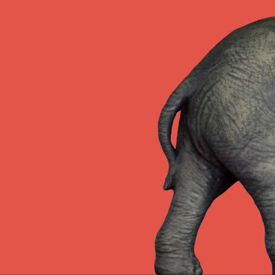 Who will drop out of the GOP primary first? Here are some clues.