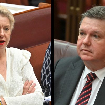 View from The Hill: Coalition split puts Victorian and NSW Nationals Senate seats at high risk