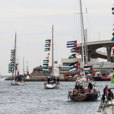 ‘Put in containers, kicked, punched’: Flotilla activists recount detention by Israeli forces