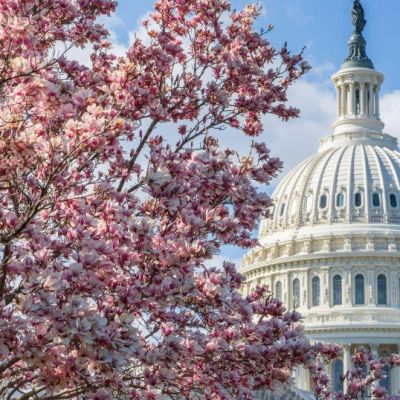 In special House elections during Trump era, fortune rarely favors opposing party