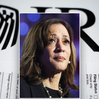 Stock market would crash under Harris’ tax plan, billionaire hedge fund manager warns