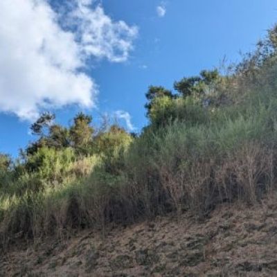 West Valley may build new homes in risky fire zones