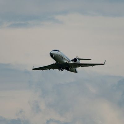 Prominent Houston Attorney Tara Arnold Identified As Victim In Maine Plane Crash