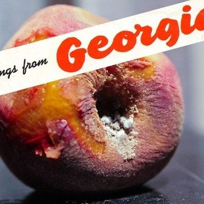 Georgia Sues ‘True The Vote’ Election Deniers For Put Your Money Where Your Mouth Is, A-holes