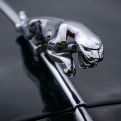 Jaguar’s rebrand has divided opinion. Is ‘Project Roar’ the road to success?