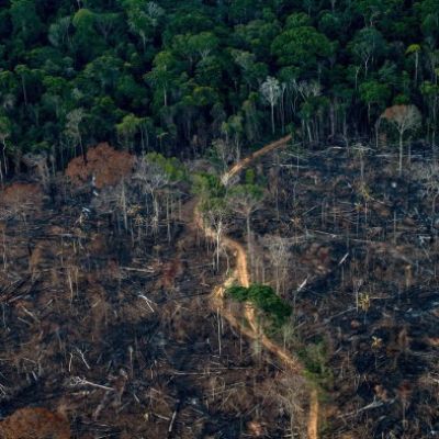 Microsoft secures deal to restore Amazon rainforest and offset AI emissions