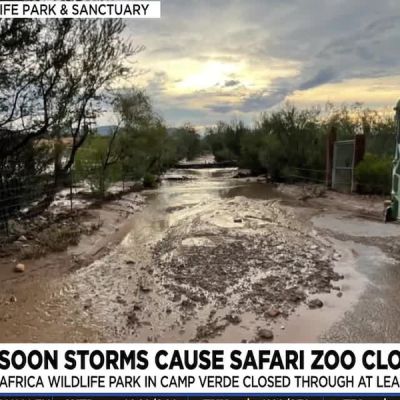 Monsoon flooding causes closure of Arizona wildlife park