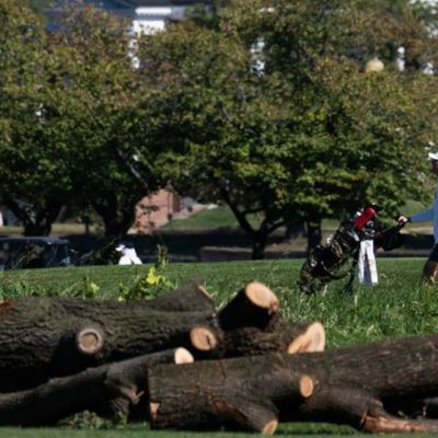 Trump Vows To Proceed With D.C. Golf Course Renovation Shortly After Judge's Blocks Tree Removal Img