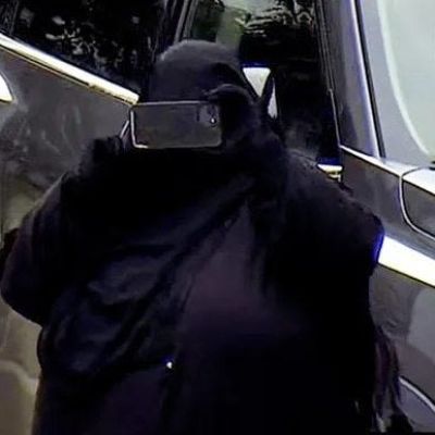 Muslim convert ‘plotted to disguise as food delivery worker to blow up New York capitol’