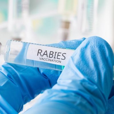 Australia issues advisory on counterfeit anti-rabies vaccine in India; company refutes charges