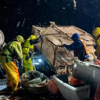 ‘Deadliest Catch’ Star Todd Meadows’ Cause of Death Uncovered