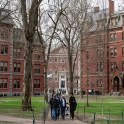 ‘Egregious decision’: Trump admin dealt major blow in Harvard grants case as court restores billions in funding