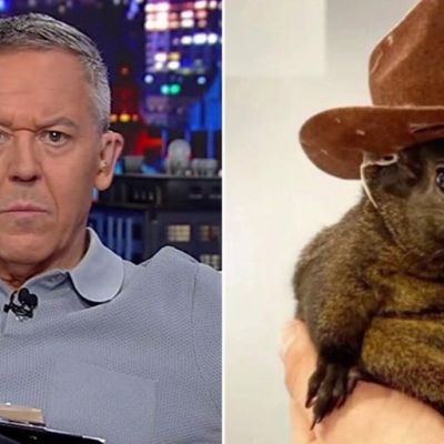 GREG GUTFELD: You red pill Americans by raiding their homes and murdering their pets