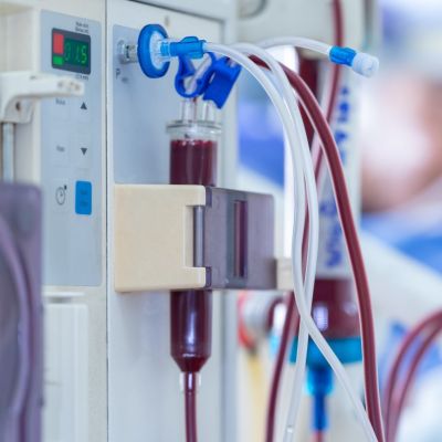 4 Stocks Trading Near 52-Week High That Can Climb Further