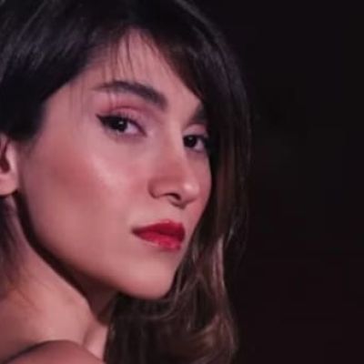 Iranian singer lashed 74 times for not wearing hijab during live performance: Who is Parastoo Ahmadi? | Today News