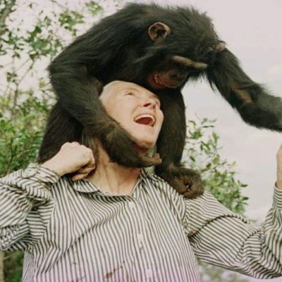Jane Goodall dies at 91: How the British conservationist became the ‘chimpanzee whisperer’