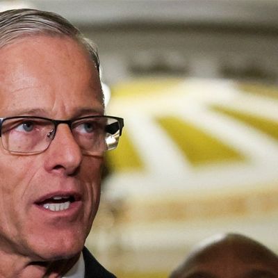 Thune ‘adamant’ about Trump support, driving MAGA agenda despite tense past relationship