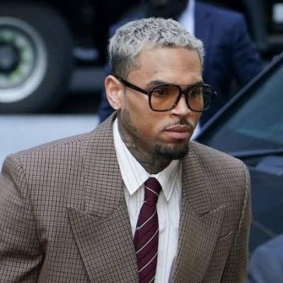 Chris Brown ordered to pay R240 million after housekeeper wins dog attack lawsuit