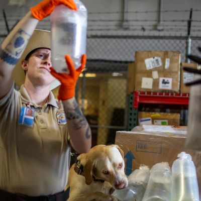 Marjorie Taylor Greene resigns from CongressExBulletin – ExBulletin