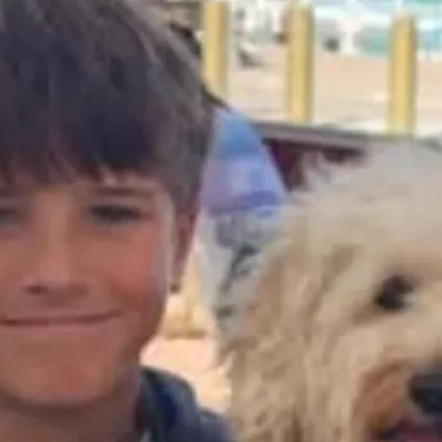 Junior Lifesaver Nico Dies Following Shark Attack Amid Series of NSW Beach Incidents