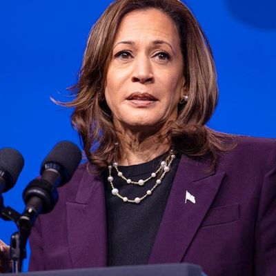 Former Dem megadonor blasts 2024 autopsy as waste of time, says reasons for loss are obvious