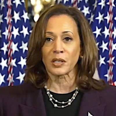 ‘She’ll have no Electoral College paths’: Political analyst warns Kamala’s chances of victory in jeopardy * WorldNetDaily * by Jason Cohen, Daily Caller News Foundation