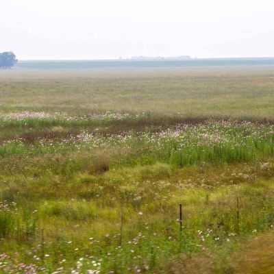 Asset Forfeiture Unit granted order to recover stolen government land worth millions | The Citizen