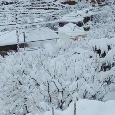 Winter storm snarls US travel, forces mass flight cancellations | Sada Elbalad