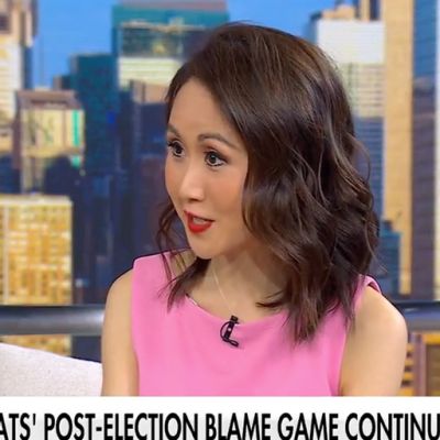 Harris surrogate gives firsthand account of the ‘epic disaster’ of election night loss to Trump