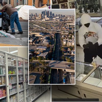 Los Angeles officials still on ‘progressive warpath’ despite overwhelming voter rebuke of leftist policies