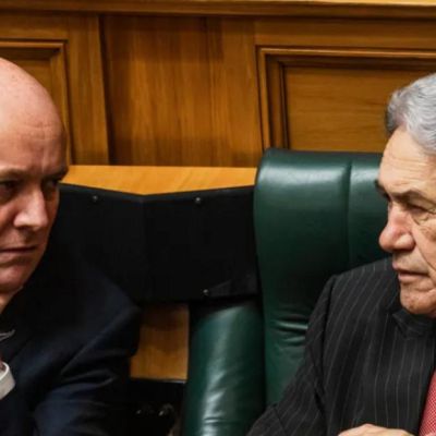 Peters pans PM’s referendum pledge as ‘power grab’