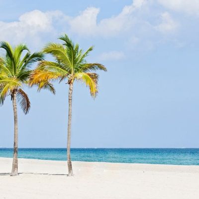 China’s billion-dollar footprint near Florida coast poses US national security risk, expert warns