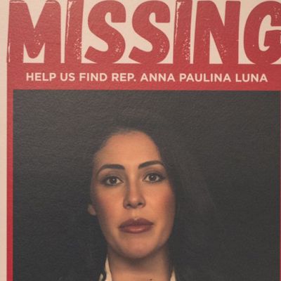 Florida Dems stage town halls in GOP districts featuring ‘missing’ posters of their colleagues