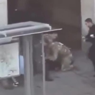 The shooter who injured the two National Guard members near the White House is Afghan (video) – ProtoThema English