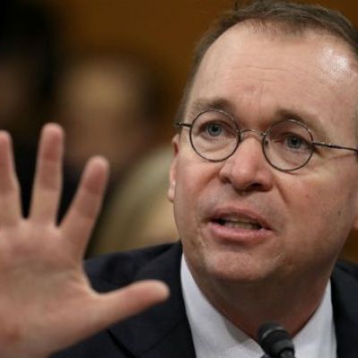 Mulvaney says threats toward Trump picks is something he’s never seen: ‘Sad result of the heightened rhetoric’