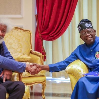 Why I won’t assess Tinubu’s govt now – Soyinka