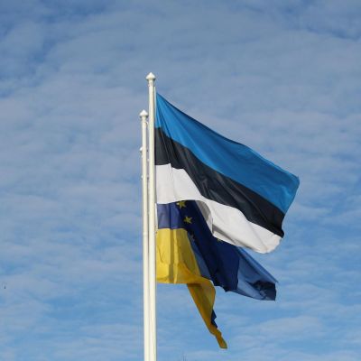 NATO's 77-Year Breaking Point: What the Collapse of Alliance Trust Actually Means for European Security