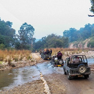 SC issues directions on conservation measures at Jim Corbett Tiger Reserve